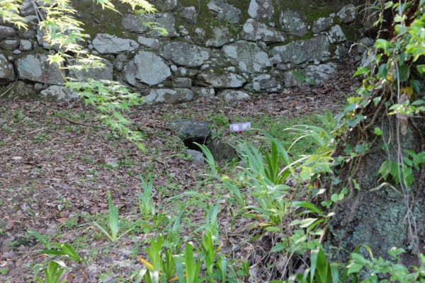 東門石垣の暗渠