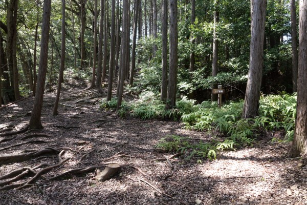 大手曲輪（東曲輪）