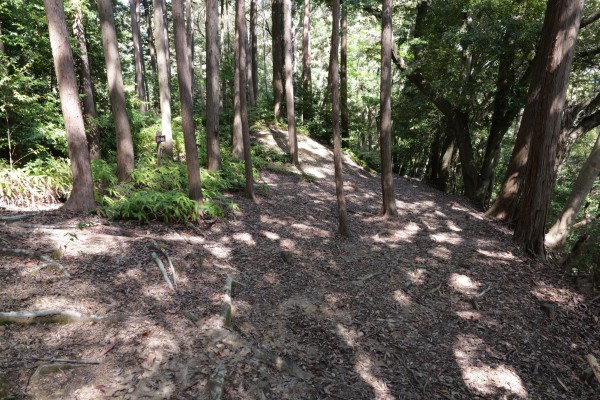 大手曲輪（東曲輪）