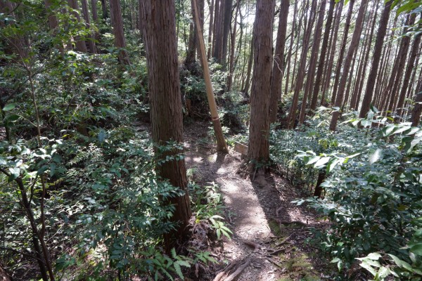 堀切（北曲輪-三の曲輪）