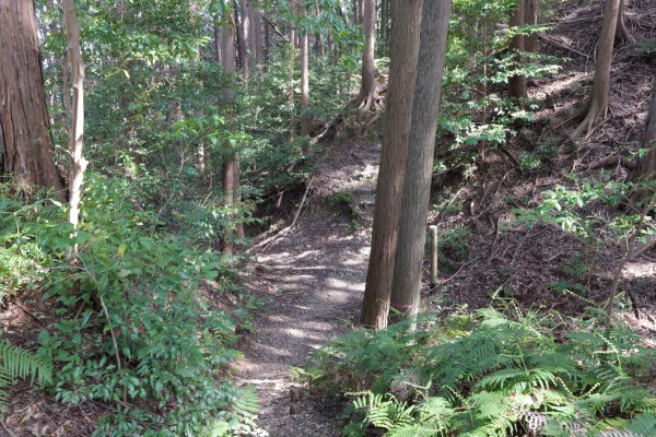 堀切（二の曲輪-本曲輪）