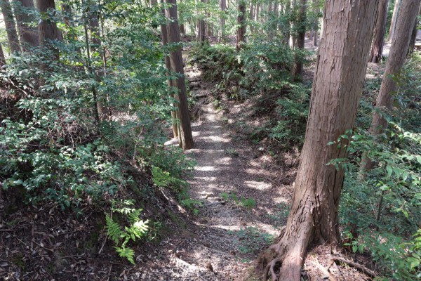 堀切（二の曲輪-本曲輪）