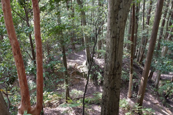 物見曲輪から見た大鈩曲輪（丸馬出）