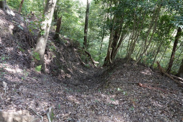 大鈩曲輪（丸馬出）南側の竪堀