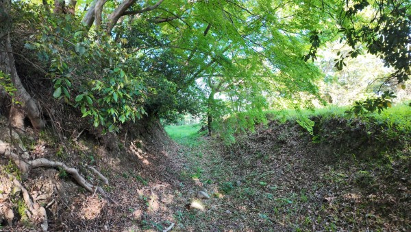 二の丸南側堀切