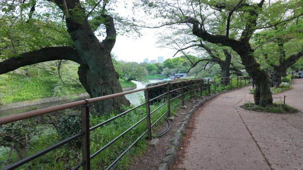 千鳥ヶ淵と千鳥ヶ淵緑道