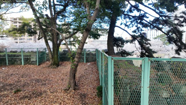 東之丸三階櫓跡