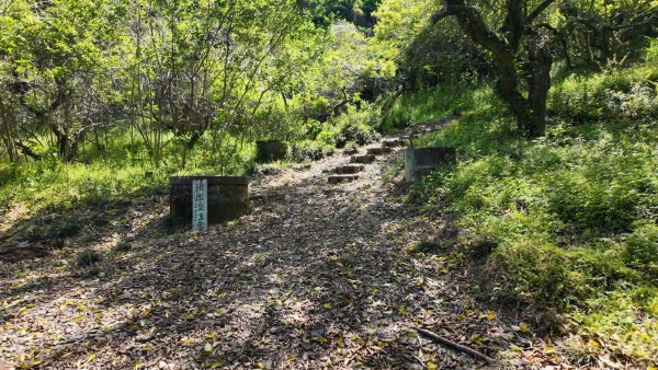 登城道（猪出没注意！）