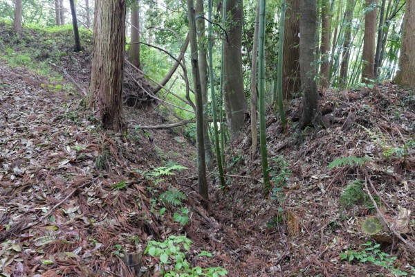 横堀（西の虎口西側）
