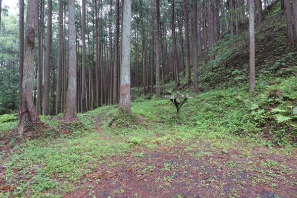 見はらし平と竪堀への分岐