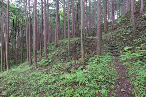 城跡北側