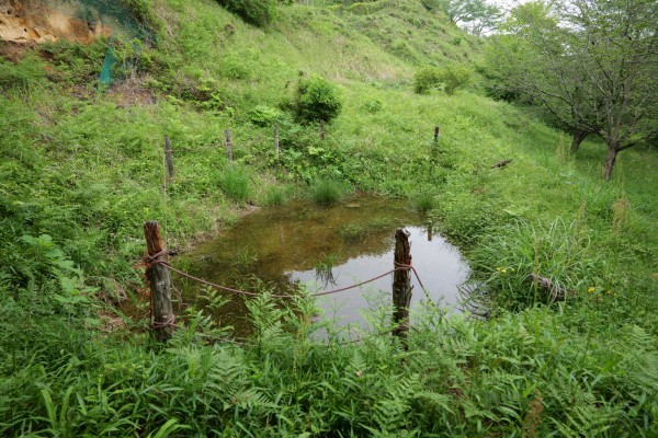 池