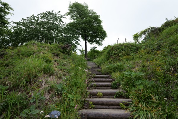 北方向に登る階段