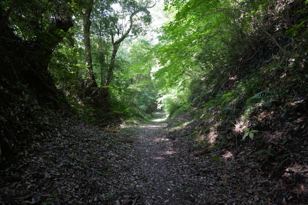 空堀２