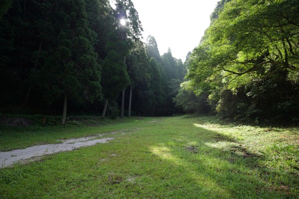 登城道