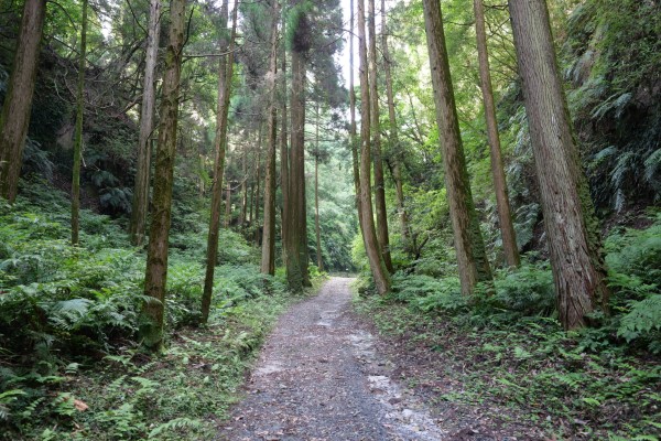 空堀（東ノ栫-本丸）