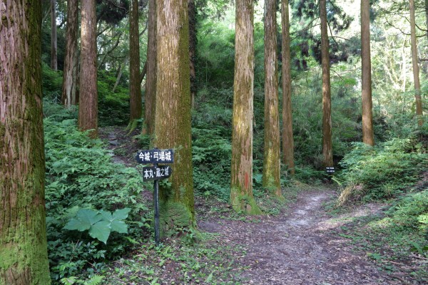 今城・弓場城への分岐