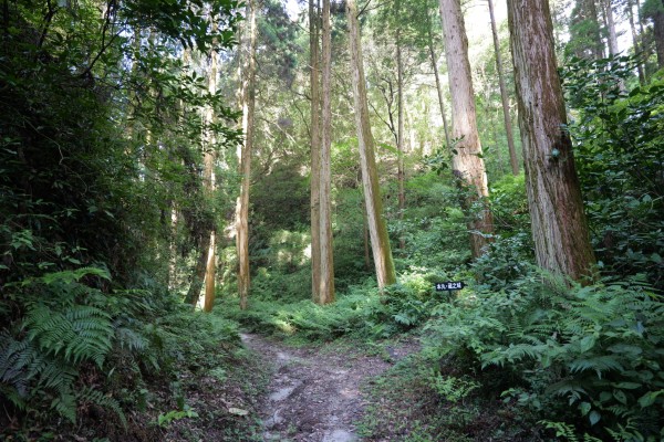本丸・蔵之城への分岐