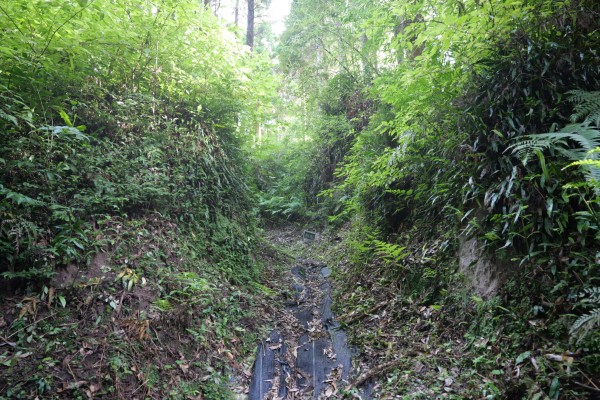 枡形虎口（本丸下平場）