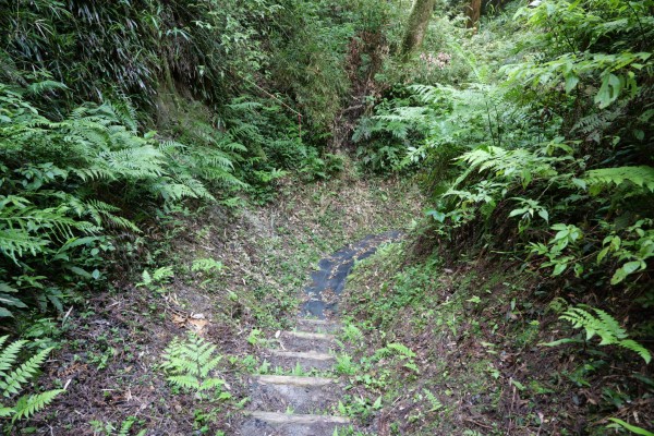 枡形虎口（本丸下平場）