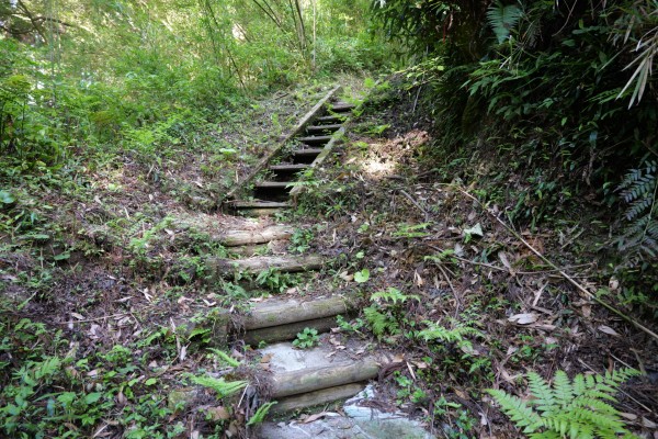 枡形虎口（本丸下平場）