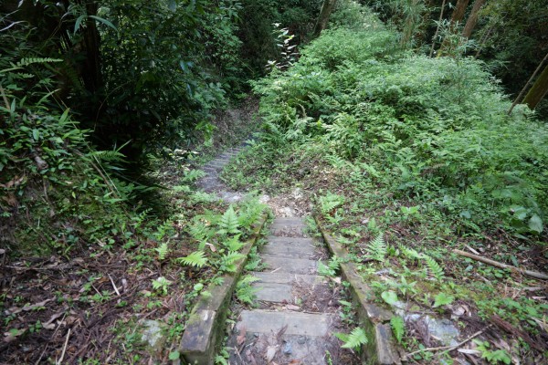 枡形虎口（本丸下平場）