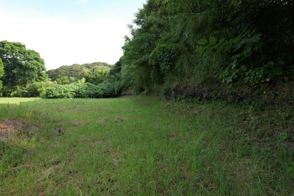 本丸土塁