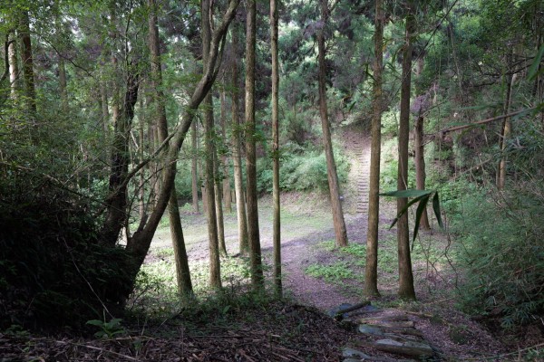 本丸下平場