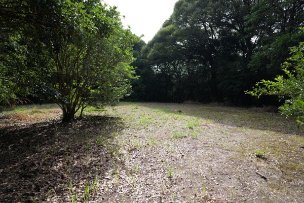 弓場城