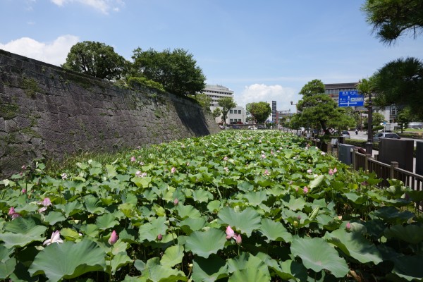 本丸石垣・内堀