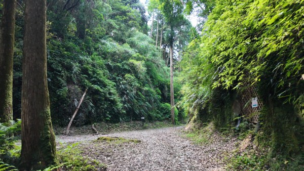 今城（正面）と防空壕跡