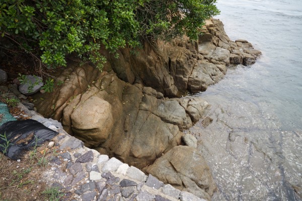 階段状の岩礁