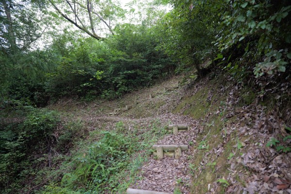 登城道