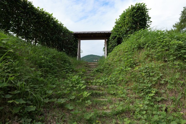 門