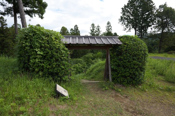 門