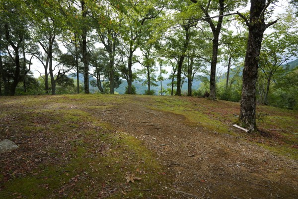新城