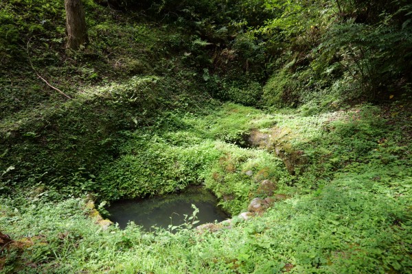 井戸
