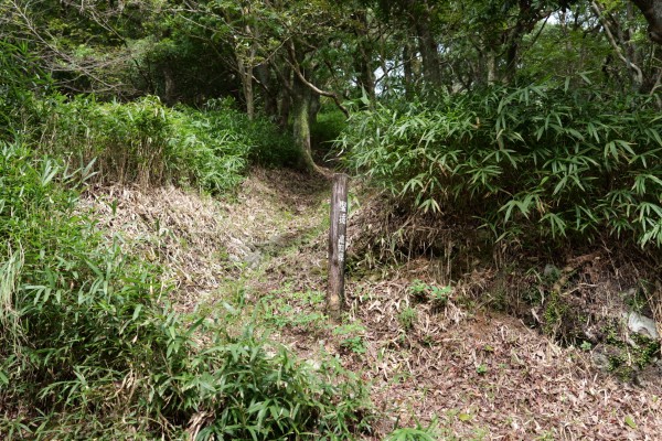 竪堀