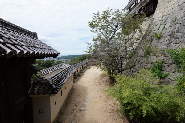紫竹門東塀の狭間より