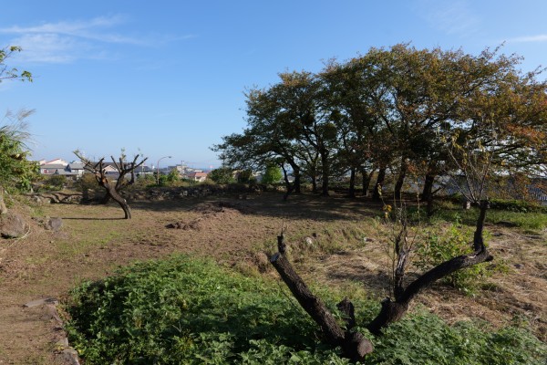 本丸（下段・北東隅）