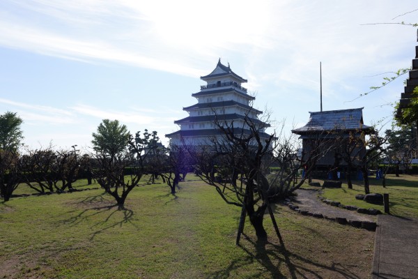 古野梅林