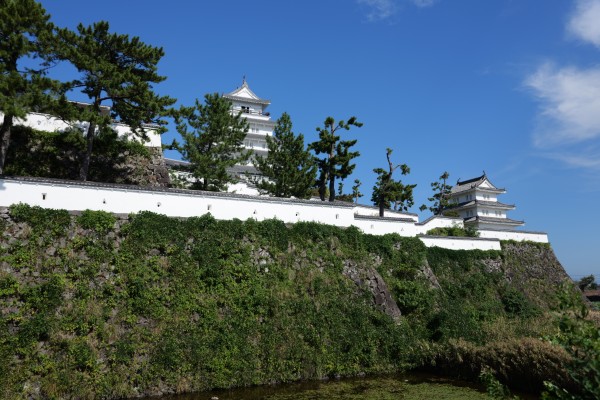 天守と巽の櫓