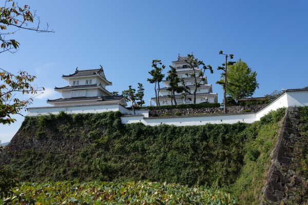 天守と巽の櫓