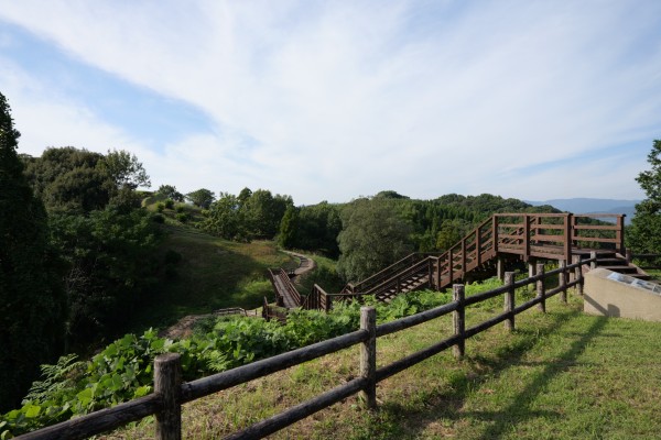 灰塚展望所へ続く道