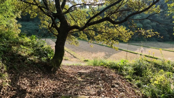 池の尾門跡へ