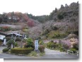 水子地蔵寺 