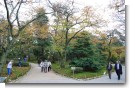 兼六園桜ヶ岡 兼六園桜ヶ岡
