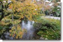 兼六園 熊谷桜 兼六園 熊谷桜