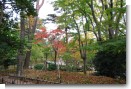 兼六園 山崎山 兼六園 山崎山