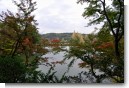 兼六園 栄螺山から 兼六園 栄螺山から
